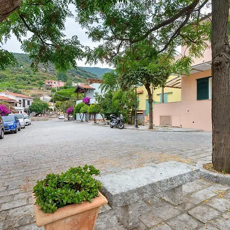 La Piazzetta Colle D'orano Marciana 別荘 *